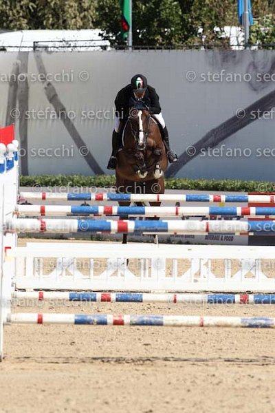 D ONOFRIO_ANNIKKI_ECC_2011_SS3_5241.jpg